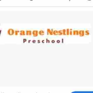 Orange Nestlings Preschool preschool logo