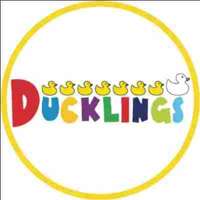 Ducklings Preschool & Daycare preschool logo