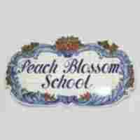 Peach Blossom Sector 61 preschool logo