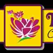 The Blossom Tots Pre-School preschool logo