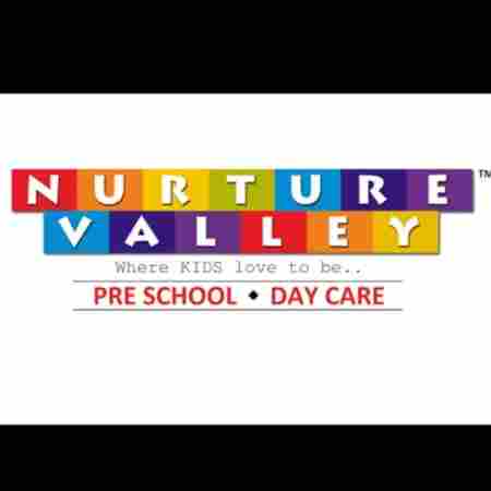 NURTURE VALLEY Preschool & Day Care preschool logo