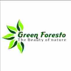 Green Foresto Sector 10A preschool logo