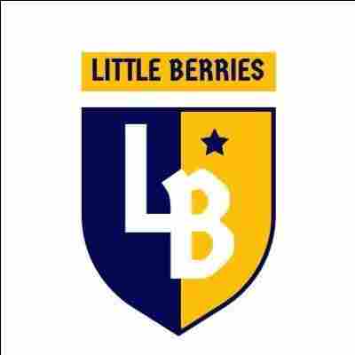 The Little Berries Playschool preschool logo