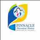 Pinnacle International School preschool logo