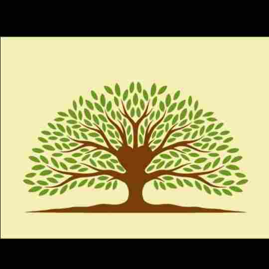 The Big Kindness Tree preschool logo