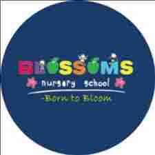 Blossoms Nursery School Sector 35 preschool logo