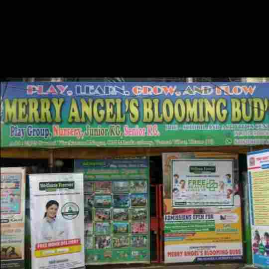 Merry Angel's Blooming Buds Preschool preschool logo