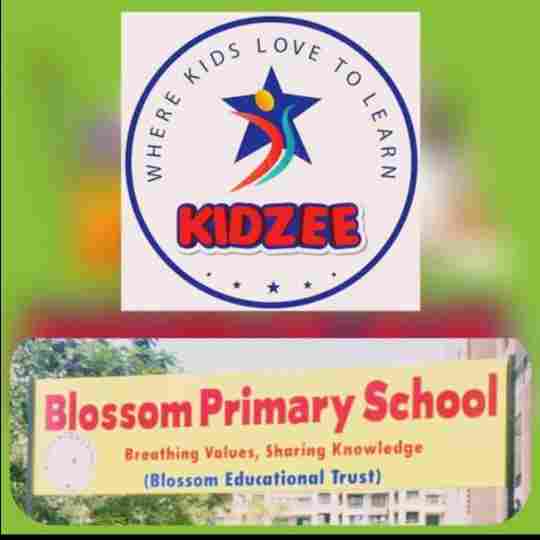 Kidzee preschool logo
