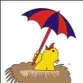 The Blue Umbrella Preschool and Activity Centre preschool logo