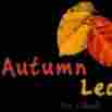 Autumn Leaves Raghuvanahalli preschool logo