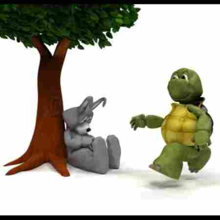 Rabbit N Tortoise Play School & Day Care preschool logo
