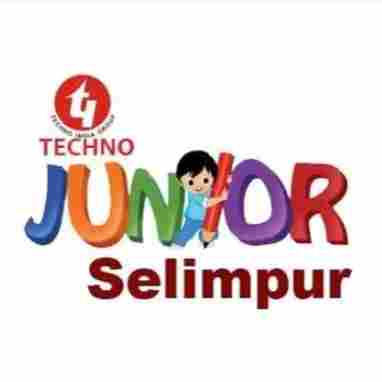 Techno Junior Dhakuria preschool logo
