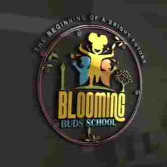 Blooming Buds School and Day Care preschool logo