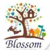 Blossom Preschool Puzhuthivakkam preschool logo