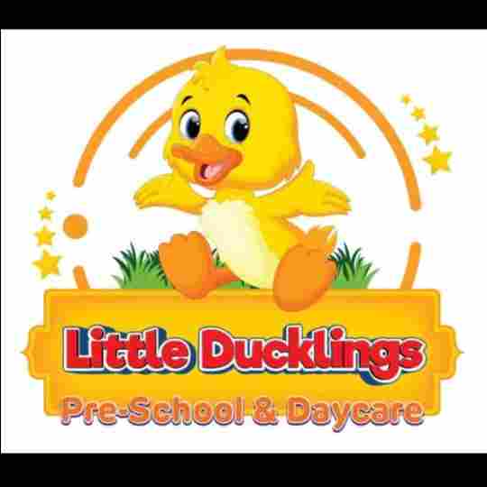 Little Duckling Preschool and Day Care preschool logo