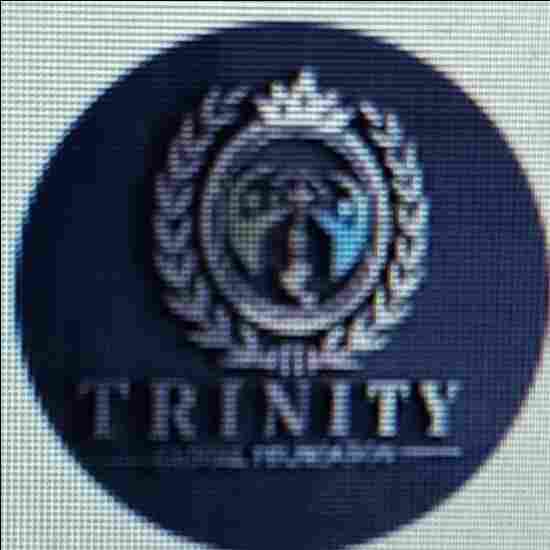 Trinity  Global  International School preschool logo