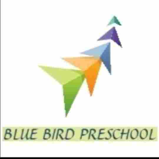 BlueBird Preschool- Best Preschool & Daycare in Hadapsar preschool logo