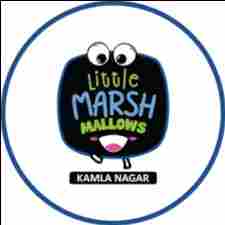 Little Marshmallows Kamla Nagar preschool logo
