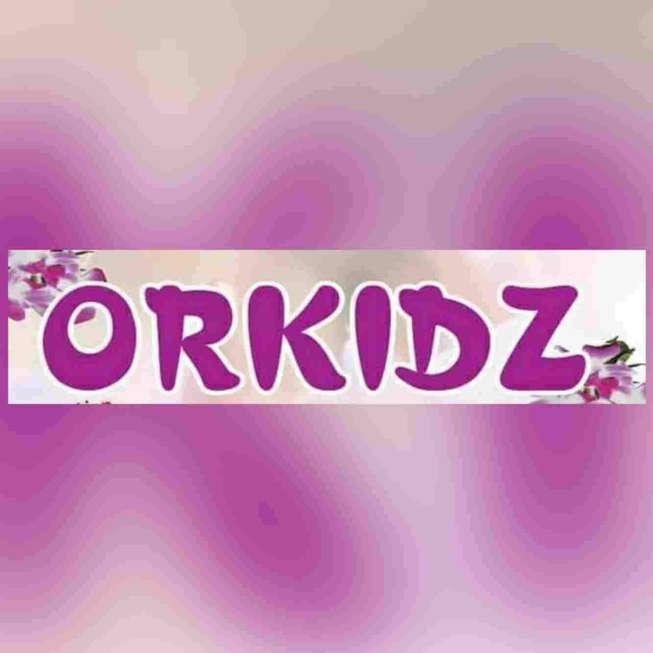 ORKIDZ Institute of Education preschool logo