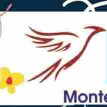 Nees Montessori house of children And Day Care preschool logo