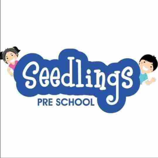 Seedlings Preschool and Daycare Center preschool logo