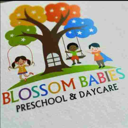 Blossom Babies Preschool and Daycare preschool logo