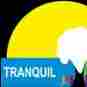 Tranquil Kids preschool logo