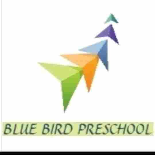 BlueBird Preschool- Best Preschool & Daycare in Sanket  Vihar hadapsar preschool logo