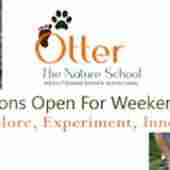 Otter, The Nature School preschool logo