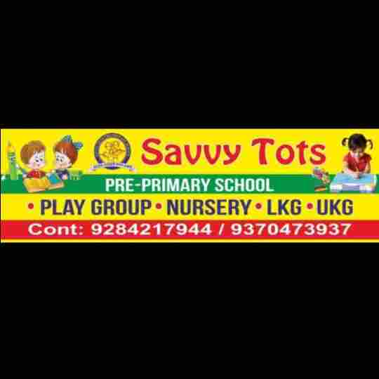 Savvy Tots Pre-Primary School preschool logo