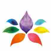Blooms Early learning and kids Patel nagar preschool logo