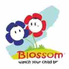 Blossoms Preschool preschool logo