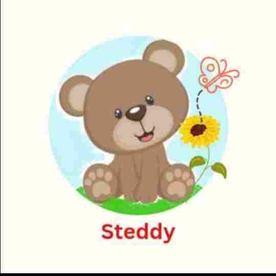 Steddy Childcare preschool logo