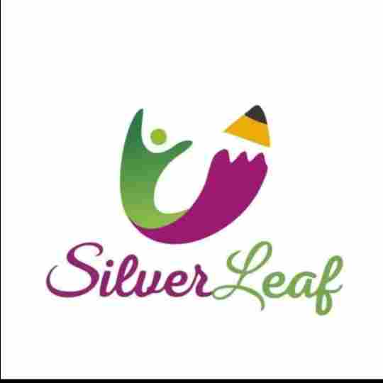 Silver Leaf Kids School preschool logo