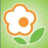 Shemrock Shining Stars2 preschool logo