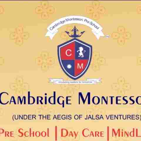 Cambridge Montessori Diamond Garden preschool logo