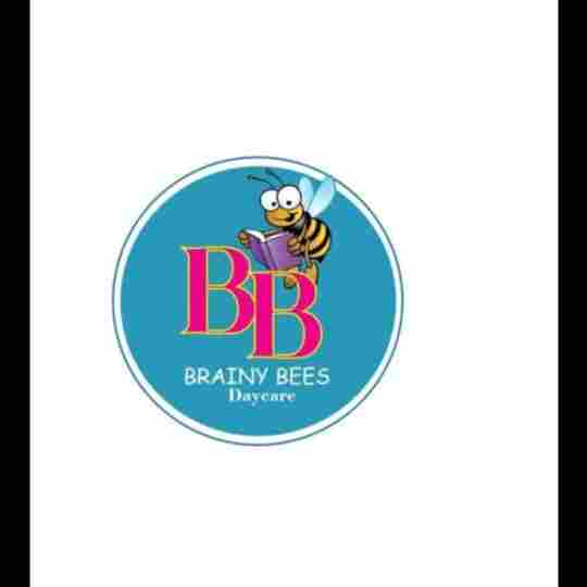 Brainy Bees - Preschool DayCare & Activity Hub preschool logo