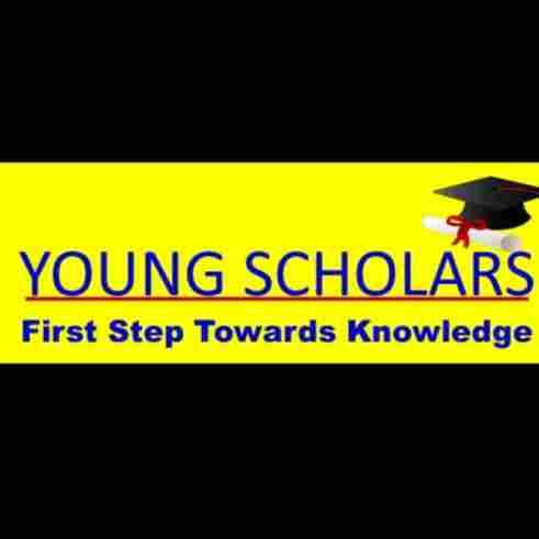 Young Scholars Preschool preschool logo