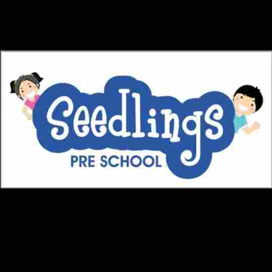 Seedlings Preschool and Daycare Center preschool logo