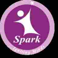 Spark International Prep School & Corporate Day Care preschool logo