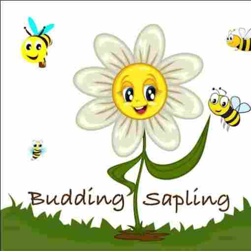 Budding Sapling preschool logo