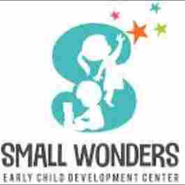 Small Wonder Nursery Rohini preschool logo