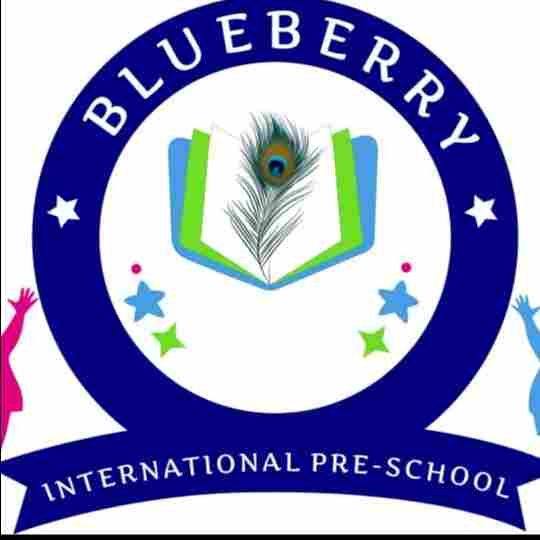 BLUEBERRY INTERNATIONAL PRESCHOOL preschool logo