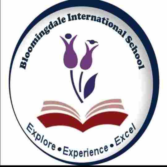 Bloomingdale Pre School preschool logo