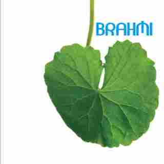 Brahmi preschool preschool logo