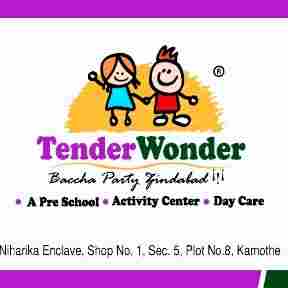 Tender Wonder Preschool preschool logo