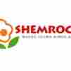 Shemrock Kiddie House preschool logo