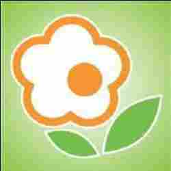 Shemrock Happy Years preschool logo
