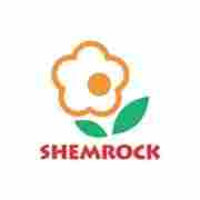 Shemrock preschool logo