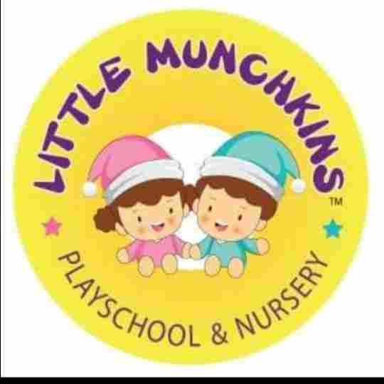 Little Munchkins Playschool And Nursery preschool logo